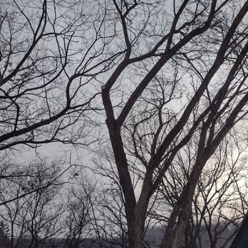 Making The Cut Tree Services - After - Tree Services Near Me - Muskego, Wisconsin