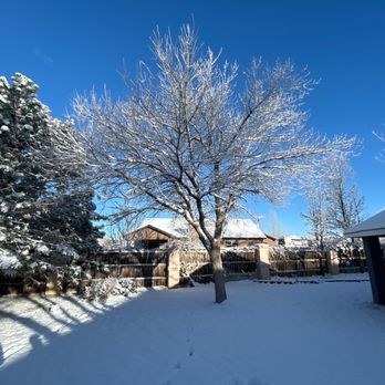 Forrest Tree Service - Tree Services Near Me