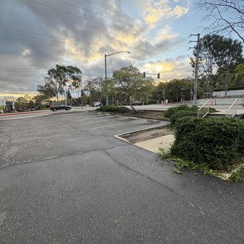 Prime Green Care - Landscaping Near Me - Long Beach, California