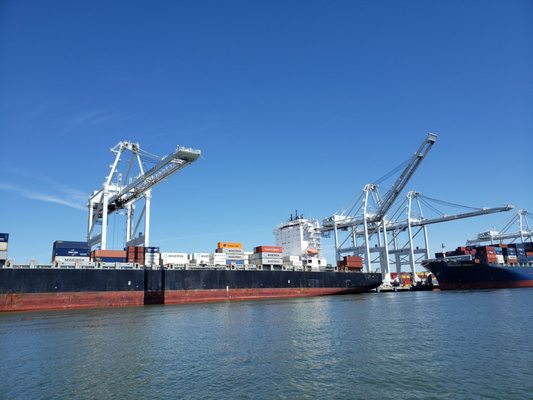 Port of Oakland by null