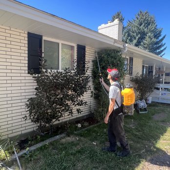 Certified Pest Control - Pest Control Near Me - Rupert, Idaho Certified Pest Control - Pest Control Near Me - Rupert, Idaho