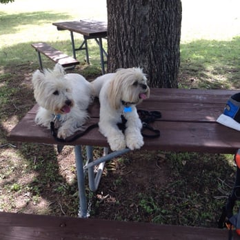 Creekside Park - Parks Near Me - Round Rock, Texas