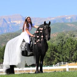 Sage Creek Equestrian - Friesian Stallion creates magic for new bride.