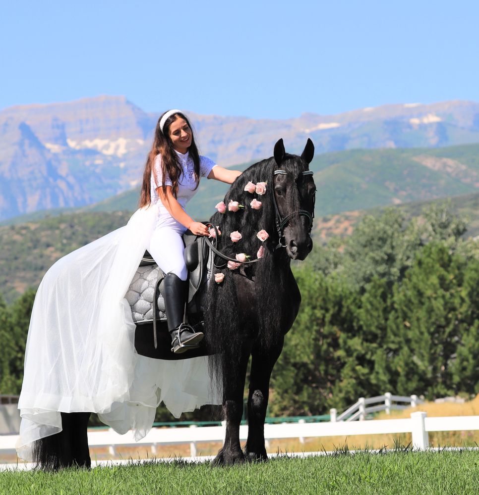Sage Creek Equestrian - equestrian in Heber City, UT