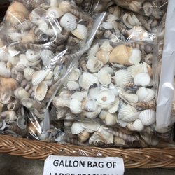 Sanibel Seashell Industries