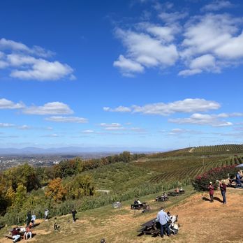 Carter Mountain Orchard - Pick Your Own Farms Near Me - Charlottesville, Virginia