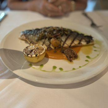 Lulu's - Fish - Italian Near Me - Houston, Texas Lulu's - Fish - Italian Near Me - Houston, Texas