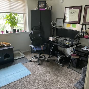 Platinum Pro Cleaning Service - My office/cat room - Office Cleaning Near Me Platinum Pro Cleaning Service - My office/cat room - Office Cleaning Near Me