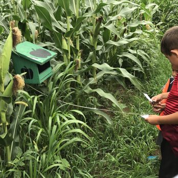 Sycamore Spring Orchard - a young boy in a corn field - Bakeries Near Me - Jonestown, Pennsylvania Sycamore Spring Orchard - a young boy in a corn field - Bakeries Near Me - Jonestown, Pennsylvania