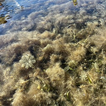 I Can See Clear Kayaking - Rafting/Kayaking Near Me - Islamorada, Florida I Can See Clear Kayaking - Rafting/Kayaking Near Me - Islamorada, Florida