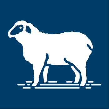 Frankenmuth Woolen Mill - Our mascot! What do ewe think of her? - Mattresses Near Me - Frankenmuth, Michigan