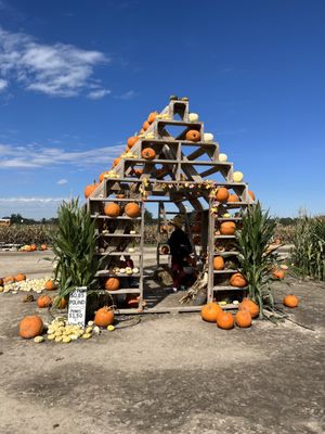 Sweet Eats Adventure Farm & Petting Zoo by null