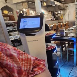 Cat robot server