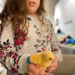 Artistic Portland Gallery - An aspiring artist shows off her felted chick.