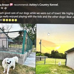 Ashley's Country Kennel - The Brown family is a pleasure to work with!