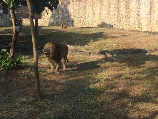 Shoushan Zoo by null