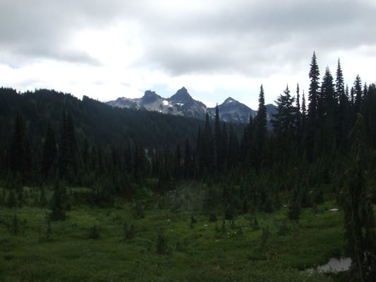 Mount Rainier by null