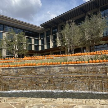 The Apron Kitchen & Bar - New American Near Me - Frisco, Texas The Apron Kitchen & Bar - New American Near Me - Frisco, Texas