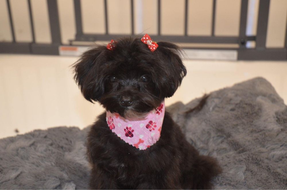 THE GROOM ROOM Updated October 2024 10 Photos 5601 N Federal Hwy