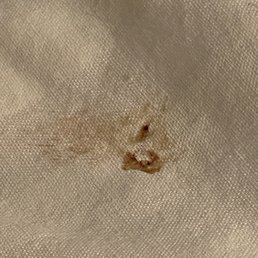 This was in the comforter. This was in the comforter.