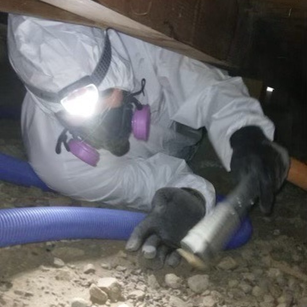 Reactic Restoration - Damage Restoration Near Me - Sacramento, California