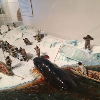 Anchorage Museum - Museums Near Me - Anchorage, Alaska