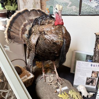 Placer Nature Center - Educational Services Near Me - Auburn, California