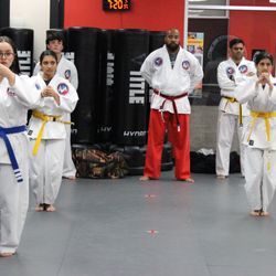 Allstar Martial Arts Academy