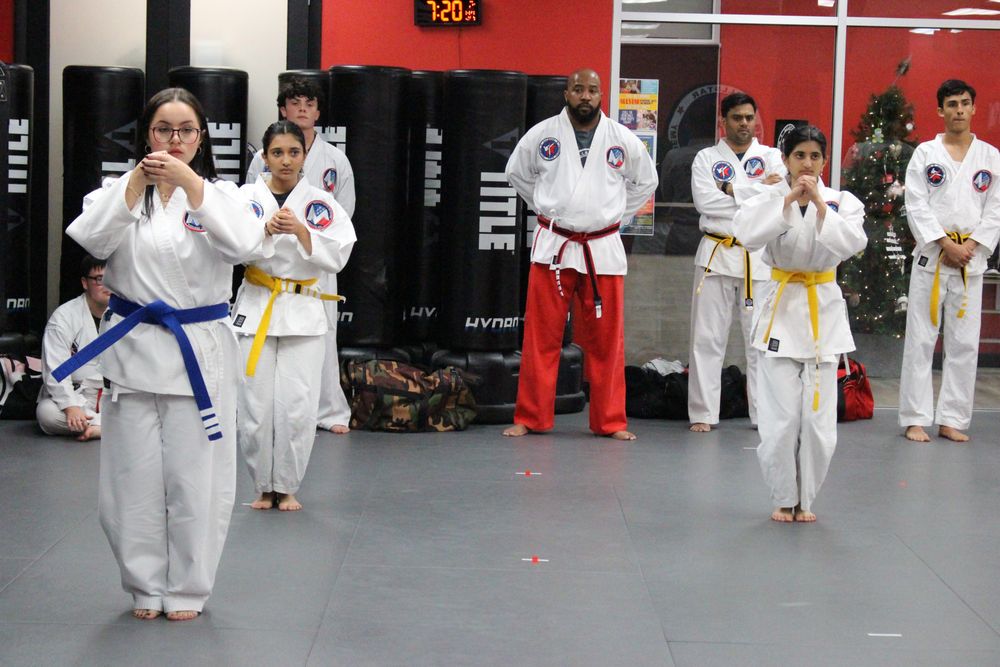 Allstar Martial Arts Academy Logo