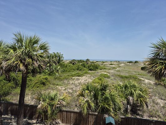 Tybee Island Marine Science Center by null