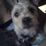 Photo of Ota Gary T DVM