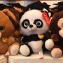 Photo of Calplush