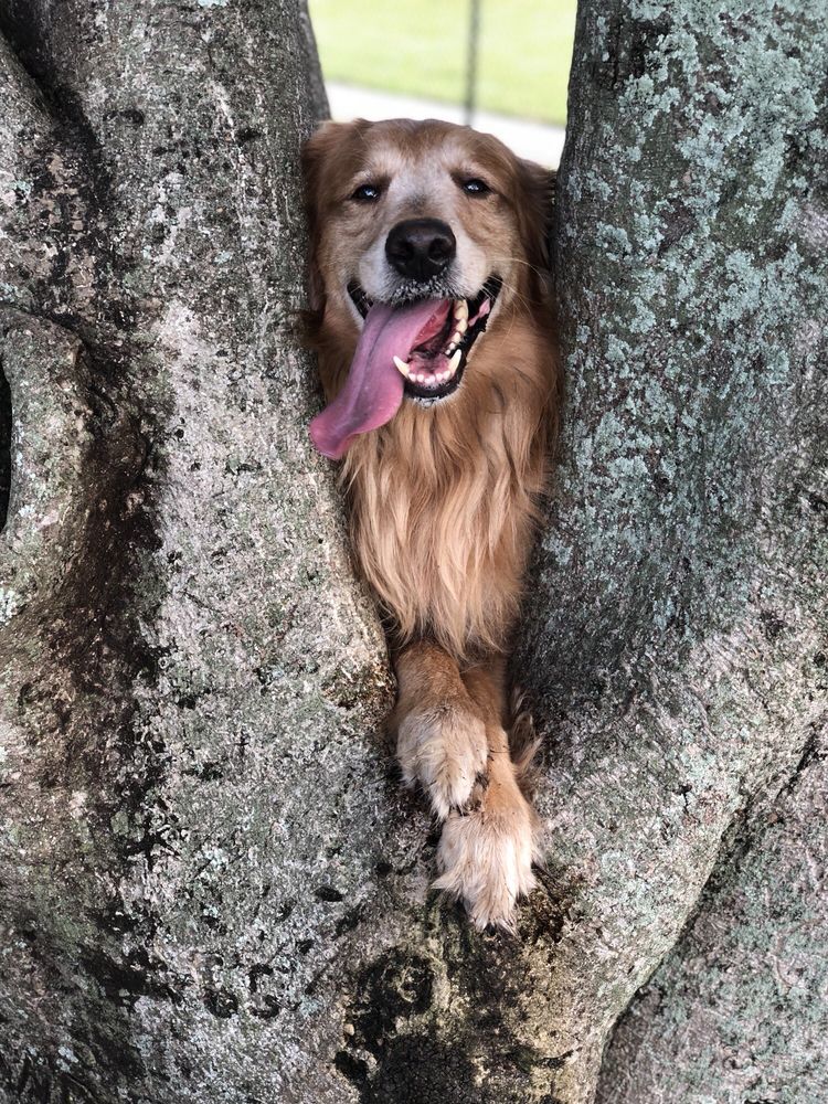 o Jupiter Florida Real Estate For Sale