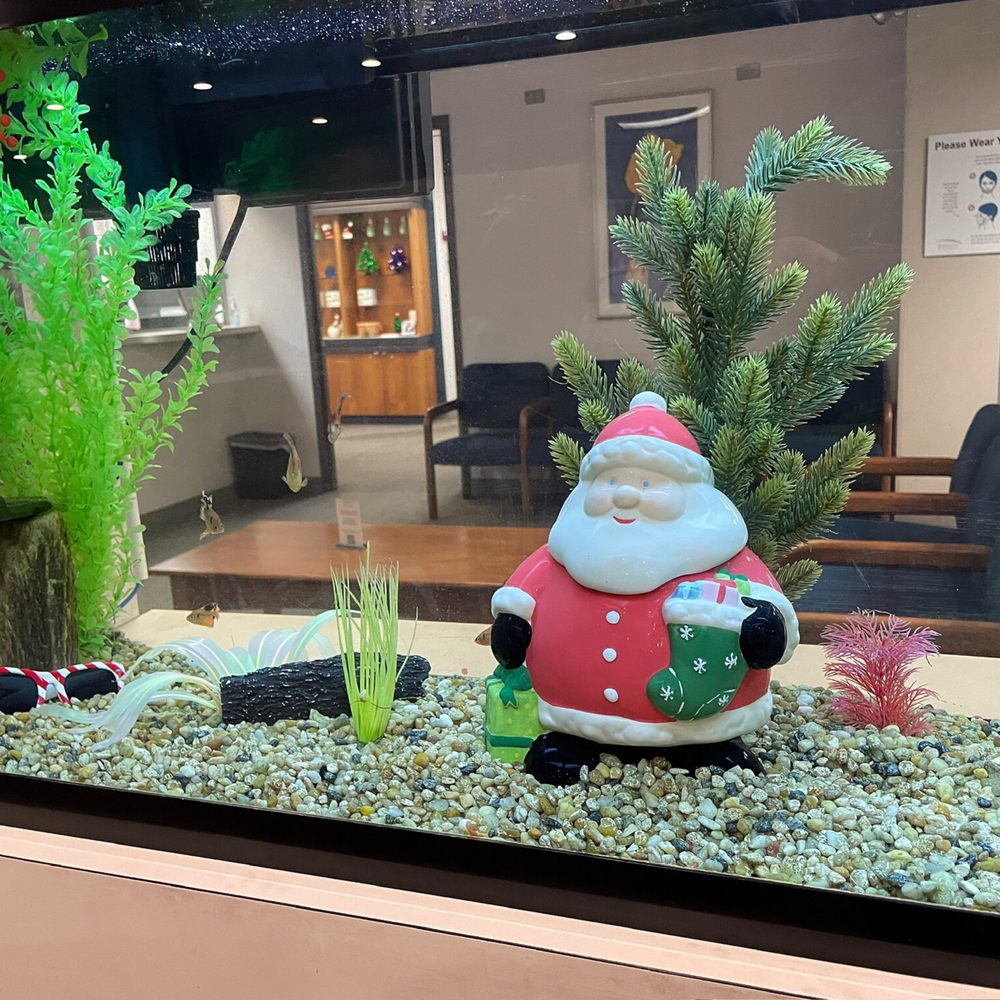 Wheaton Eye Clinic - Aquarium - Retina Specialists Near Me - Wheaton, Illinois Wheaton Eye Clinic - Aquarium - Retina Specialists Near Me - Wheaton, Illinois