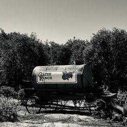 Gless Ranch Fresh Citrus
