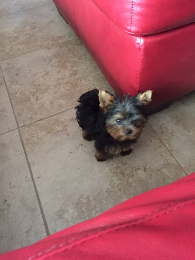 FIELDSTONE ESCROW 5016 Parkway Calabasas, Calabasas, CA Phone Number Yelp