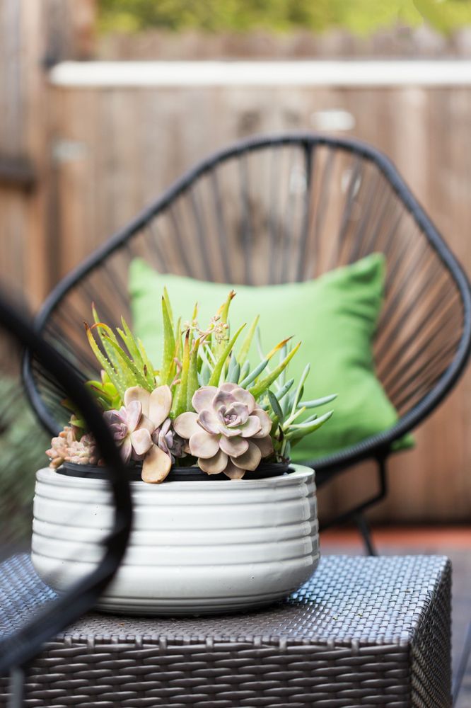 ANASTASIA LEVITANSKY THE GRUBB CO. Updated May 2024 3070 Claremont