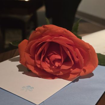 Seasons 52 - Red rose for her birthday - Seafood Near Me - Orland Park, Illinois