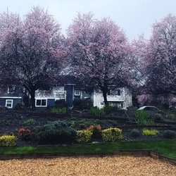 Temple Beth Or - Our garden and trees in the spring.