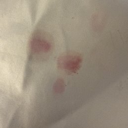Stain Stain