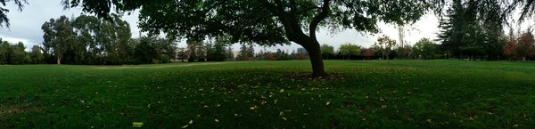 Jenny Strand Park by null