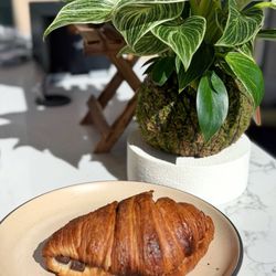 Moongoat Greenhouse - Chocolate Croissant