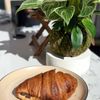 Moongoat Greenhouse gift card