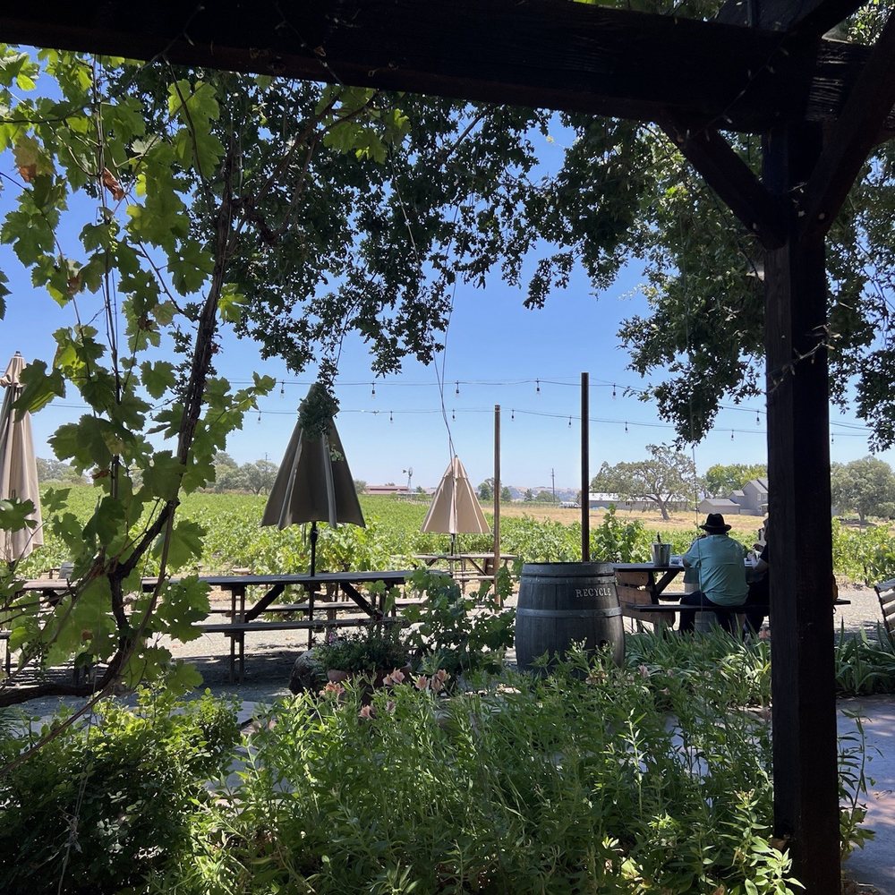 Castoro Cellars - Wineries Near Me - Templeton, California