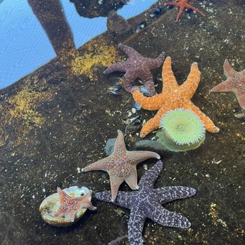 Ocean World - Aquariums Near Me - Crescent City, California