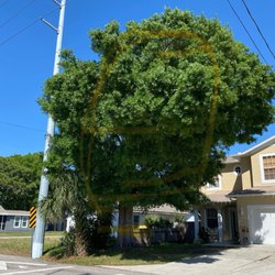 All Weather Tree and Landscaping Service - Before