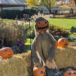 Windsor Gardens - ~10-31-24~Halloween Decor @ Windsor