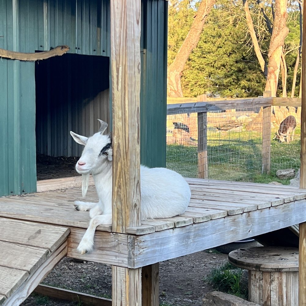 Andersen Farms - Too hot to go out - Farms Near Me - Sparta, New Jersey