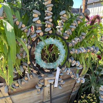 SummerWinds Nursery - Tatum - I Want!!! - Nurseries & Gardening Near Me - Phoenix, Arizona