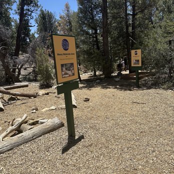 Big Bear Discovery Center - Outdoor activity center - Hiking Near Me - Fawnskin, California Big Bear Discovery Center - Outdoor activity center - Hiking Near Me - Fawnskin, California